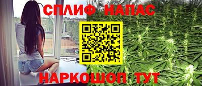 ПСИЛОЦИБИНОВЫЕ ГРИБЫ Новокубанск